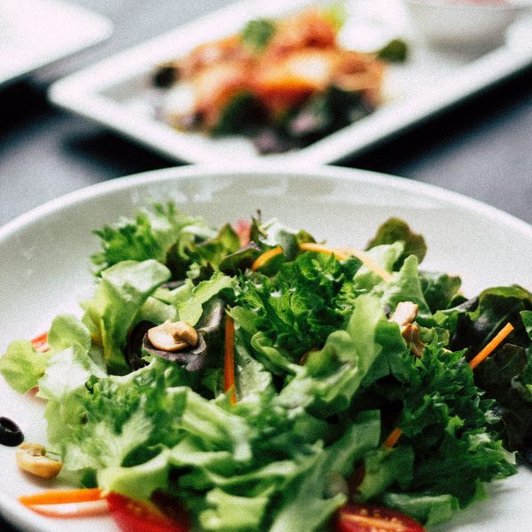 mgg-vitchakorn-Ul4sgxQMmHU-unsplash