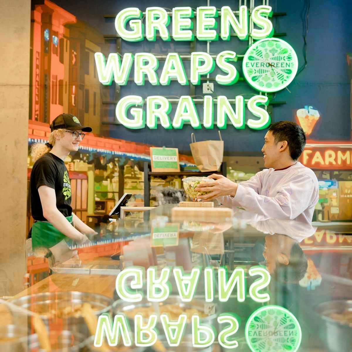 Evergreen Plants Near Me