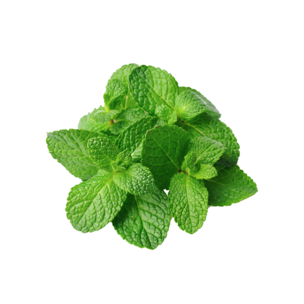 Mint